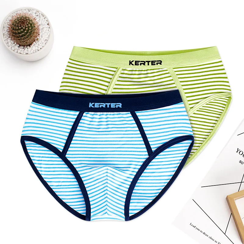 Stretchy Striped Boys Underwear Brifes Cotton Boys Clothes Comfortable Kids Panties for 3 4 6 8 10 12 Years Old RKU183005