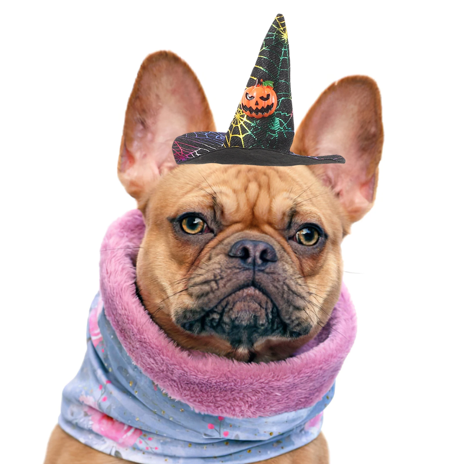 

2Pcs Dog Cat Halloween Hats Adjustable Elastic Band Comfortable Skin Friendly Pet Hat Set Party Costume Photography Prop