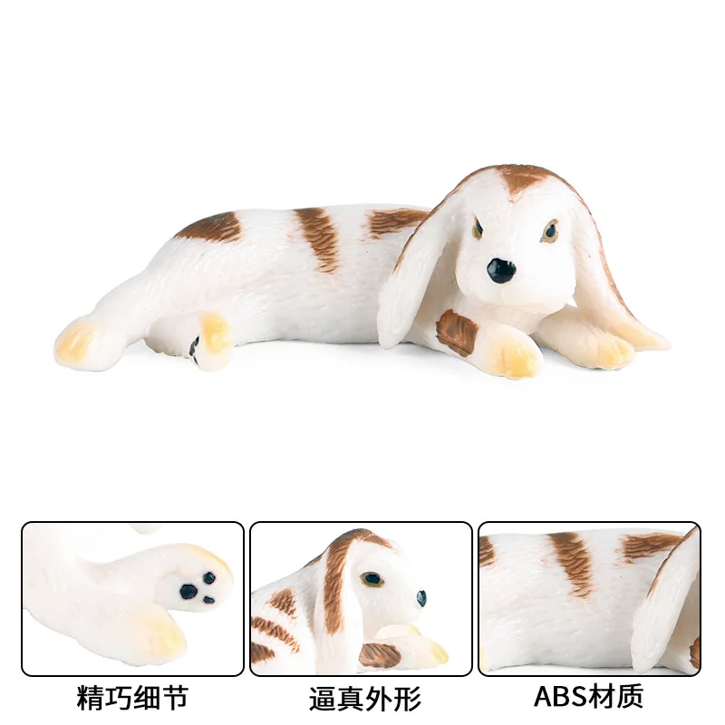 

Science/education Simulation Children Animal Model Toy Ornaments Rabbit Dutch Rabbit Lop-eared Rabbit Poultry Rabbit British