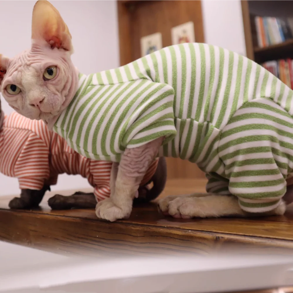 Cat Clothing Spring Striped 4-legged Cotton Coat for Sphynx Cat Winter Undershirt for Kittens Grey Warm Loungewear for Devon Rex