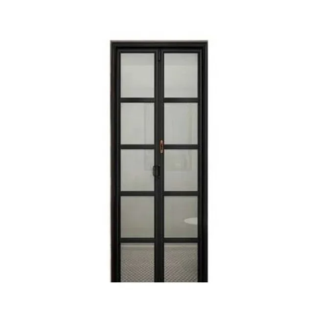 

# Hot 2 Panels Frosted Glass Interior Bi-fold Bathroom Black Aluminum Folding Glass Door