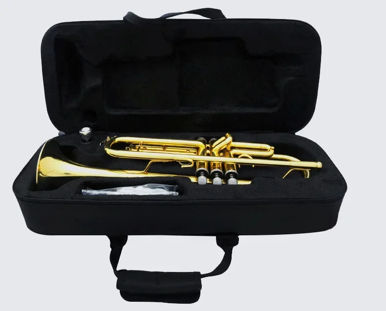 بوق، طلاء B مسطح ذهبي، مبتدئ، أصلي، بوق