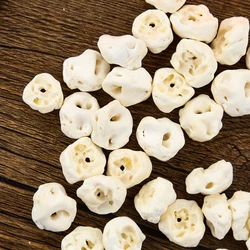 10pcs Natural Pig Shin Bone Loose Beads Ethnic Amulet Bracelet Charm DIY Birthday Necklace Pendant Jewelry Accessories Gift