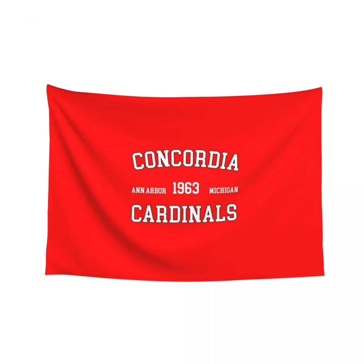 Университет Concordia Ann Arbor Мичиган Гобелен Украшение спальни Настенный декор Украшения комнаты Эстетика Ковер Настенный гобелен Университет Concordia Ann Arbor Мичиган Гобелен Украшение спальни Настенный декор Украшения комнаты Эстетика Ковер Настенный гобелен