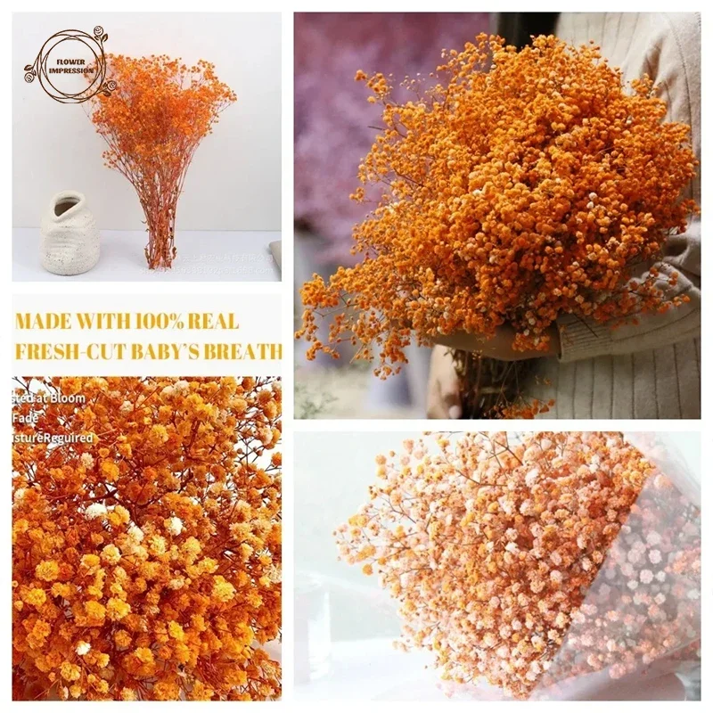 Natural Dried Flower Orange Baby Breath Gypsophila Wedding Supplies Bridal Bouquets Boho Home Decor Table Decoration Accessories