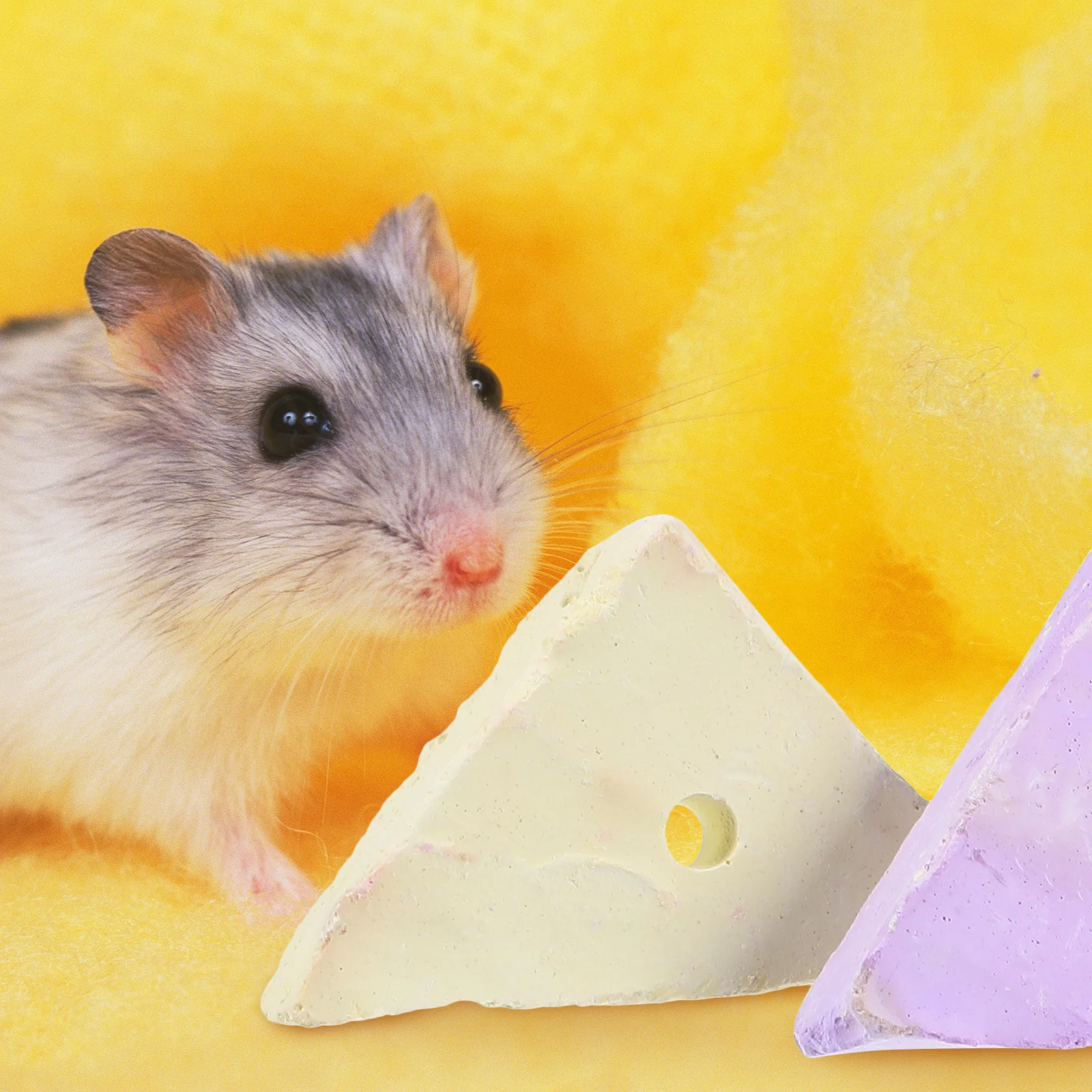 

15Pcs Natural Lava Chew Stone for Rodents Triangle Teeth Grinding Block Small Animal Bites for Degus Gerbil Pet Dental Care