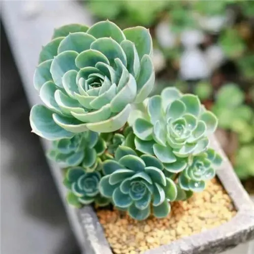 

For MJX R/C Hyper Go H12Y H12Y+ 1/12 RC Crawler/Trucks Original spare parts Front Axle Subassembly/Rear Axle Subassembly