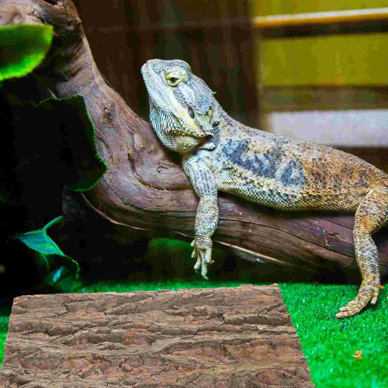 Bark Background Board Reptile Cage Cork Decor Lizard Climbing