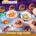 Random 10 pcs