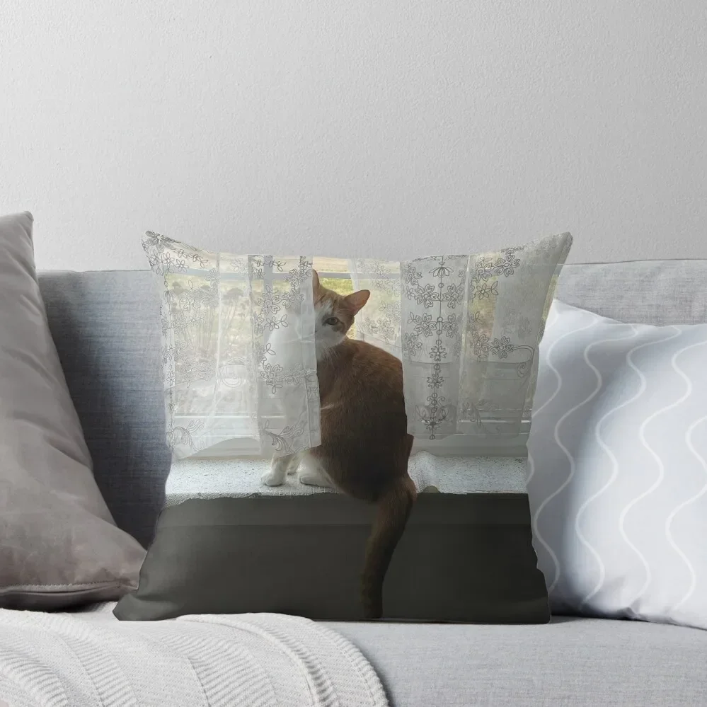 Peeking Throw Pillow covers for pillows Pillowcase Cushion Luxury Pillow Cover pillow