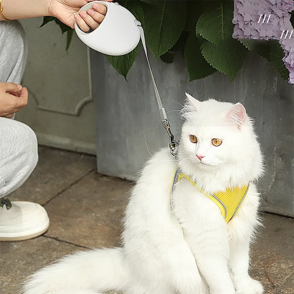 Thumbnail 2 - #6 Retractable Puppy Leads Comparison Guide