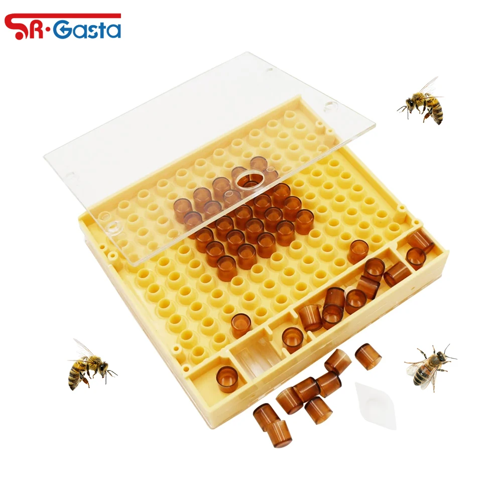 1Pc Queen Rearing Cup kit Box and 110 Plastic Queen Bee Raising Cup for Apiculture Queen Bee Feeding System Incubator
