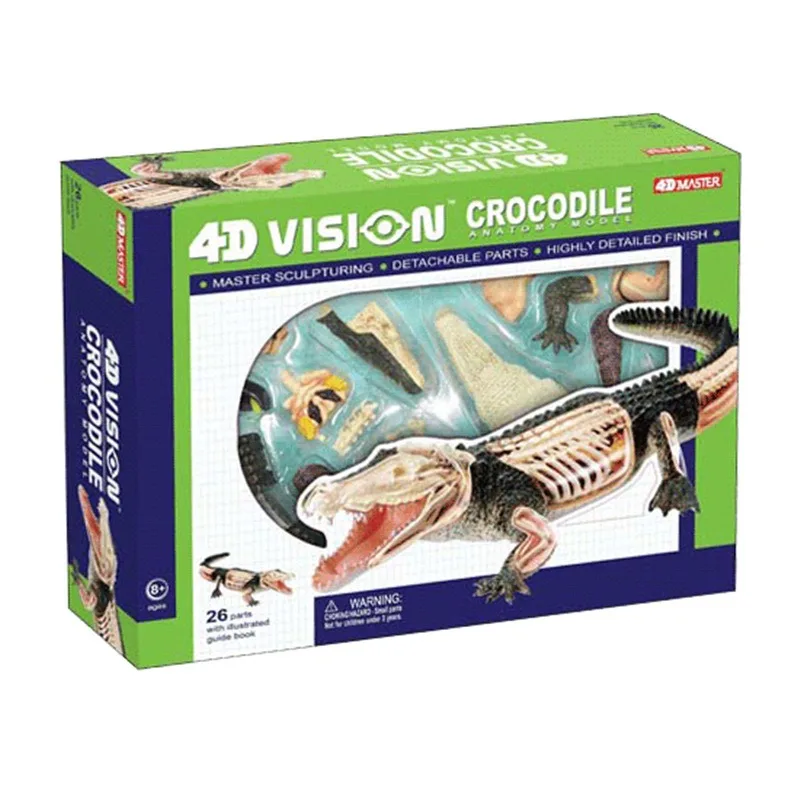 4d master Crocodile Animal Skeleton Anatomy Model puzzled Assembling Toy Medical Teaching Aid Laboratory Education Equipment