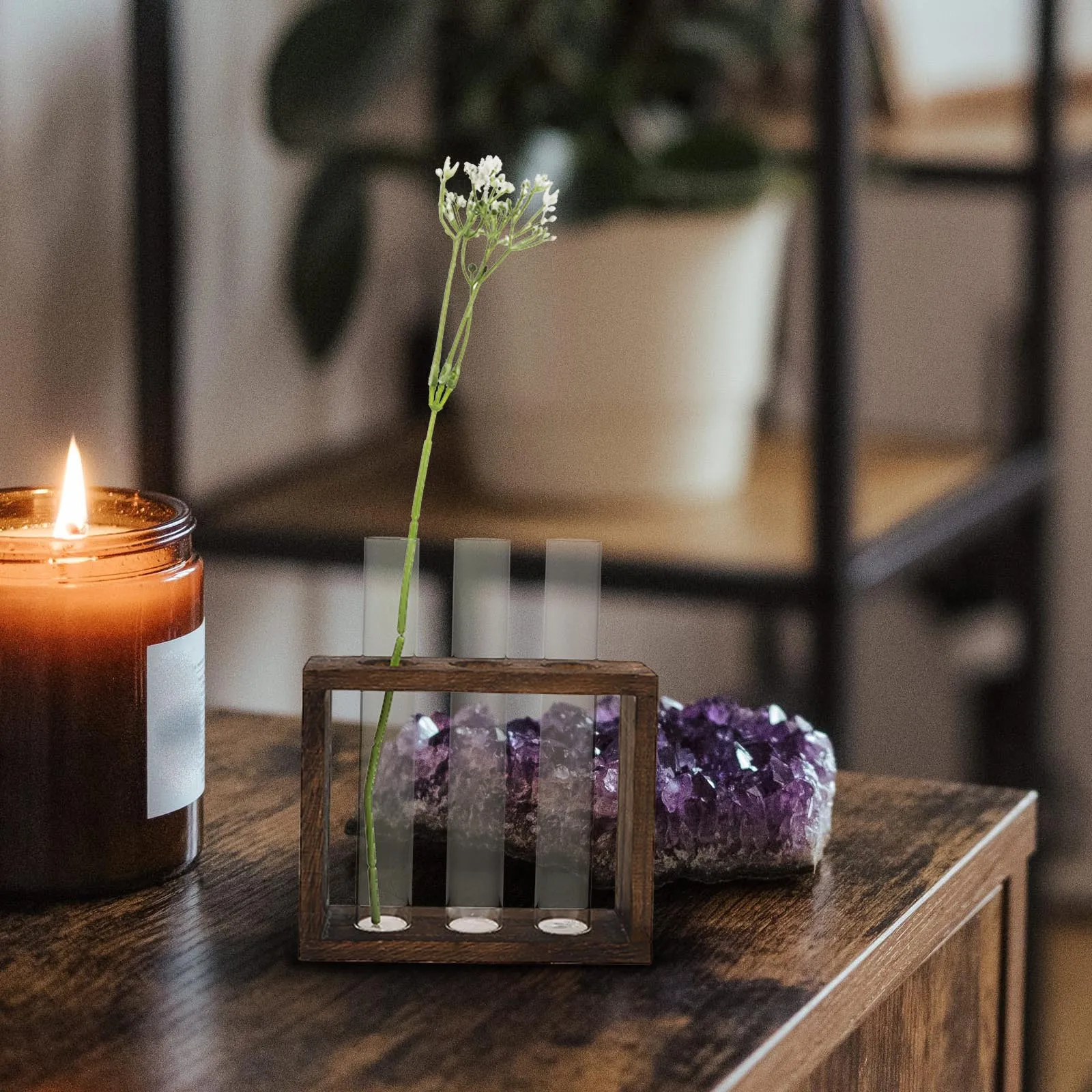 

1Pcs Transparent Test Tube Vase Creative Vase Ornament Water Planting Container Home Decor Durable Practical Long Lasting Use