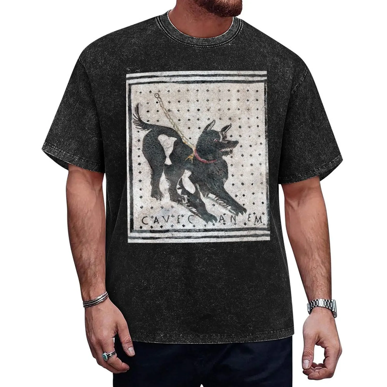 

Cave Canem, Beware of Dog 2 (HD) T-Shirt plus size clothes summer top blue archive luxury t-shirt mens workout shirts