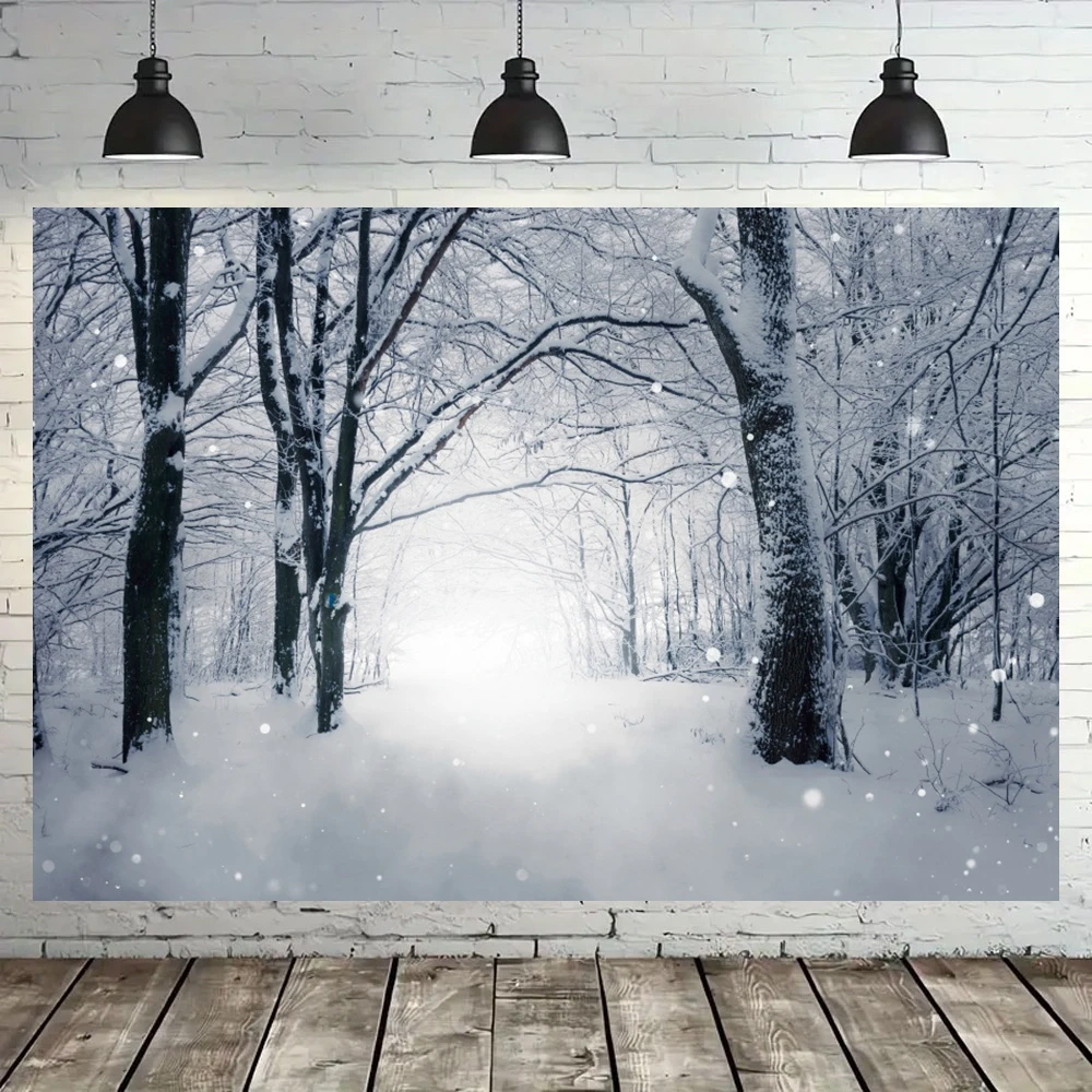 الشتاء الأبيض الغابات عيد الميلاد صور الخلفيات الثلوج ضوء الشمس ديكور الأسرة حزب أطفال الكبار صورة الخلفيات للصور