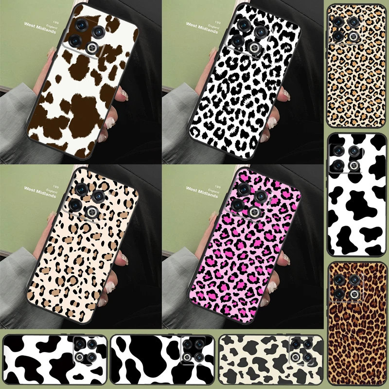 Leopard Print Patte… - image