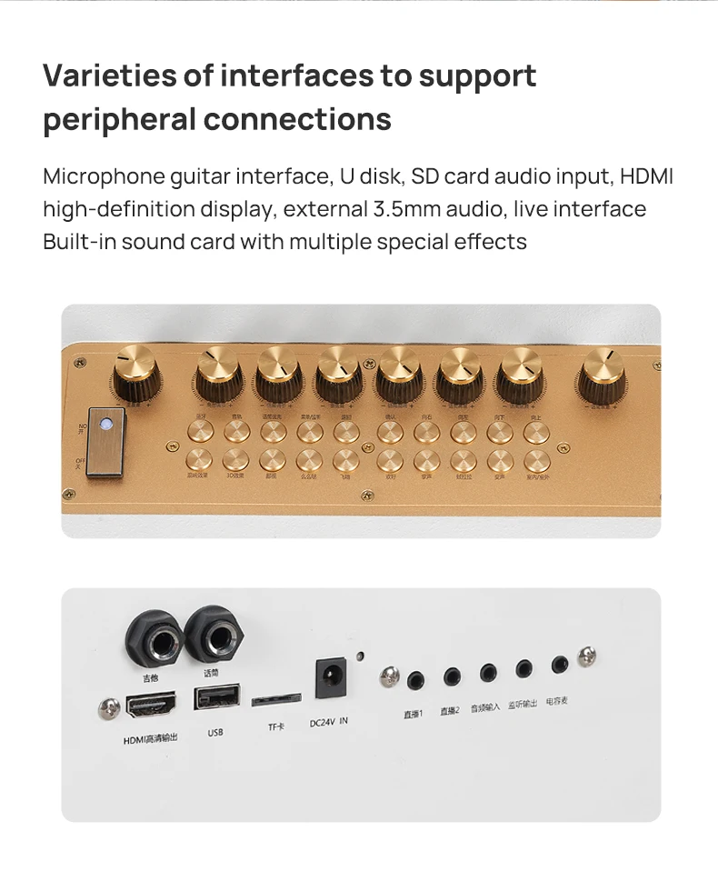 Riotouch Portable Karaoke Set System Professional Karaoke System With 14 Inch LED Screen Home Sound System Karaoke Entertainment