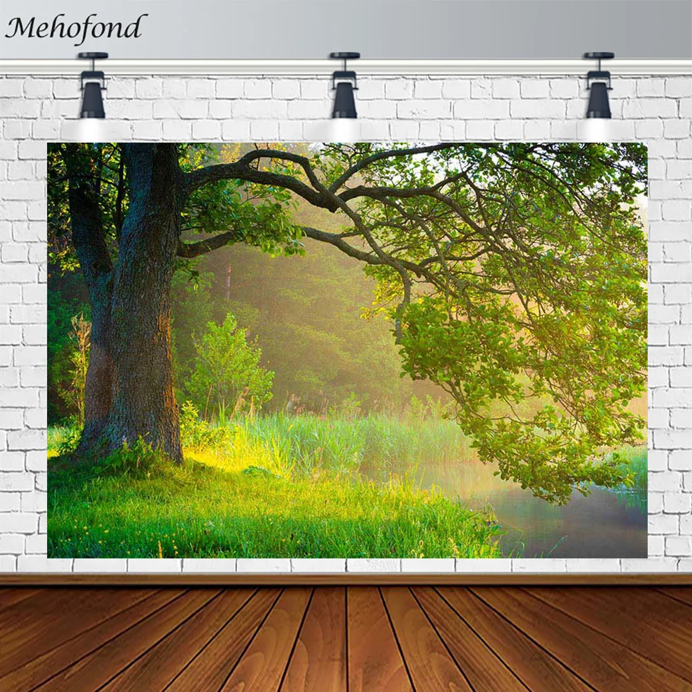 Mehofond Mùa Xuân Nền Chụp Ảnh Nắng Xanh Rừng Rừng Cho Bé Sinh Nhật Phông Nền Chụp Ảnh Phòng Thu Photophone