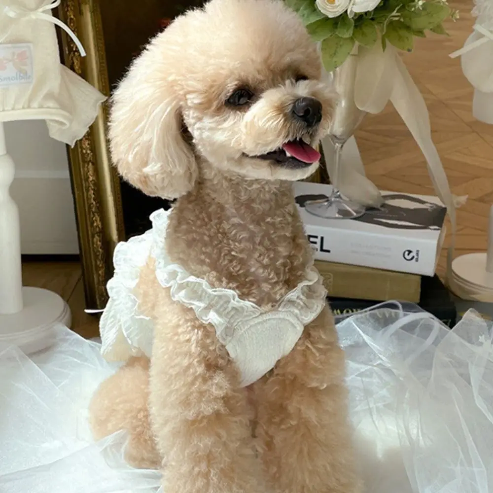 

Pet Supplies Cute Pet White Lace Camisole Soft Thin Design Summer Pet Vest Breathable Cat Princess Skirt Spring Summer Autumn