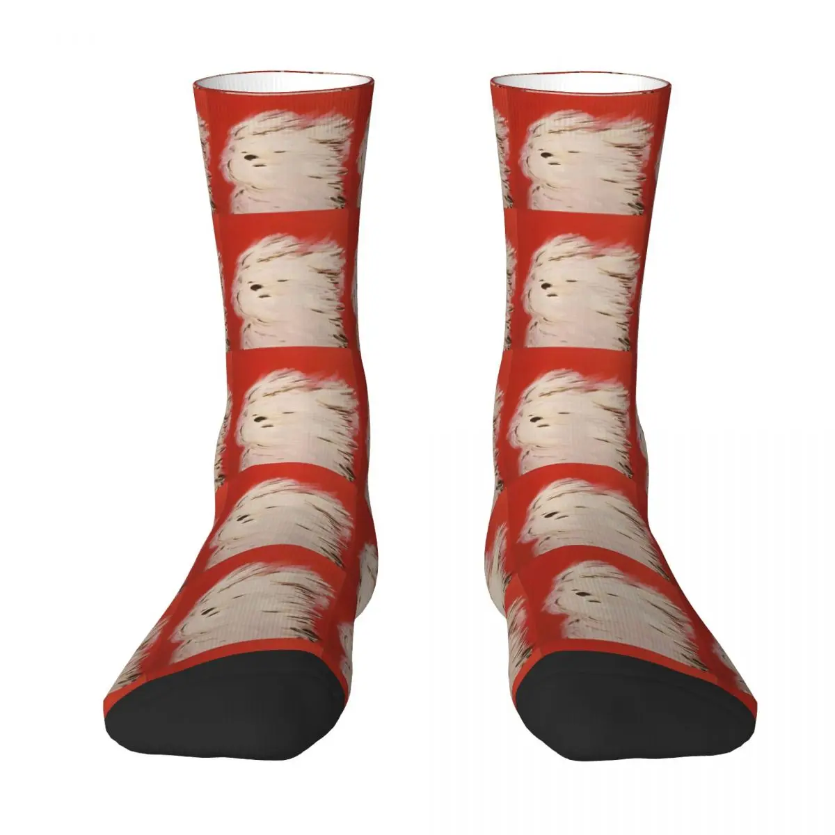 F9ee39551ef105541d1aecb8bc666844-bayingimg Socks Funny Stockings Winter Non Slip Men Socks Warm Soft Design Outdoor Sports Socks