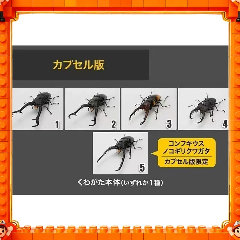 

2026 Genuine In Stock Bandai Gp Ikimono Taikan Stag Beetle 11 Giraffe Stag Beetle (Prosopocoilus Giraffa) Model Toy Gift