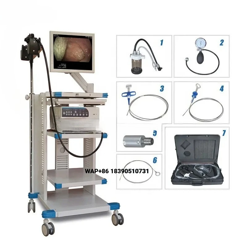 Animal Veterinary Medical Video Gastroscope Colonoscopy FHD Endoscopy System Light Emitting Diode Light 80w Clinical Use