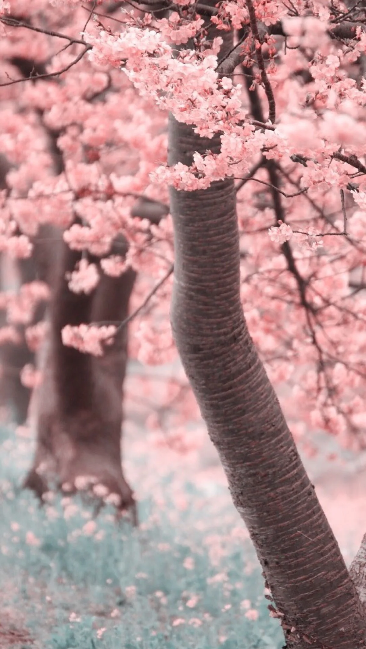 

1/10 RC Cars Complete Aluminum alloy Front Rear Axle for RC Crawler Axial WRAITH Rock Racer 90018 90045 RR10 90048 90053