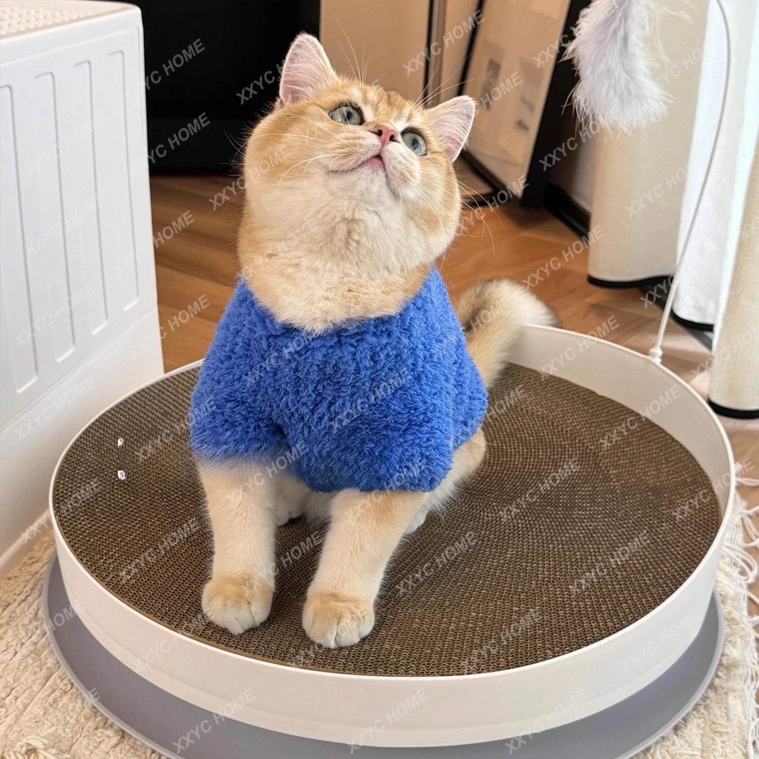 

Доска для когтевания домашних животных 3-в-1 износостойкая и устойчивая к царапинам и не может капает чипсы. Кошачья палочка объединяется