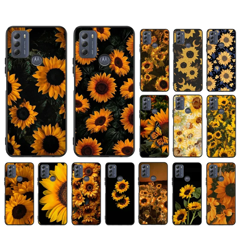 Yellow Sunflower Ph…