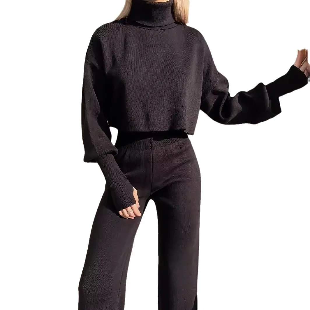 Women Autumn Winter 2pcs Clothes Set Solid Color Turtleneck Long Sleeve Sweatshirt & Loose High Waist Pants