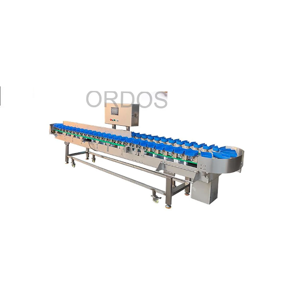 Automatic Avocado Orange Mango Dragon Fruit Melon Fruit Weight Sorting Machine for Sale