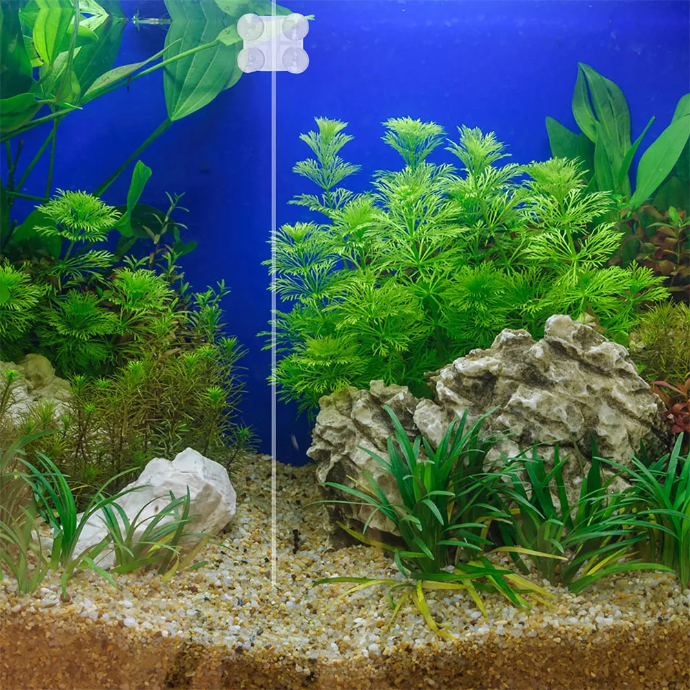 

Isolation Net Clip Aquarium Divider Panel Separator Glass Transparent Tank Dividers for Aquariums Clips Fish Suction Cup