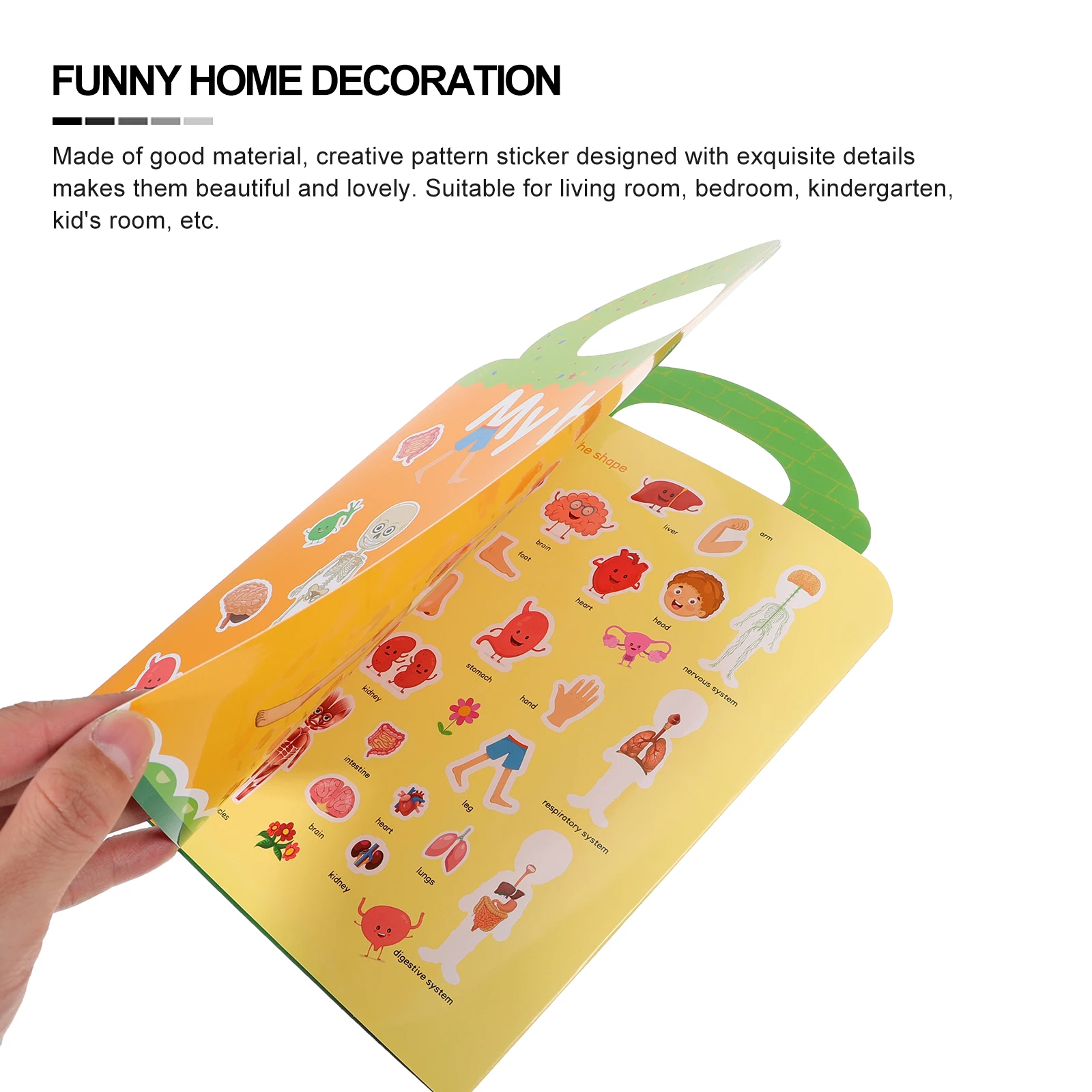 

1Set DIY Educational Decals Children Scene Stickers Body Themed Wall Decorative Stickers for Home Kindergarten Room Interior