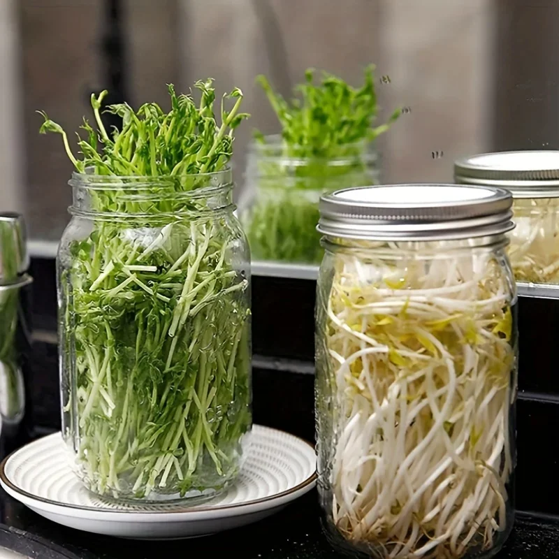 1pc Grow Your Own Sprouts at Home with This Stainless Steel Mesh Lid Sprouting Kit!