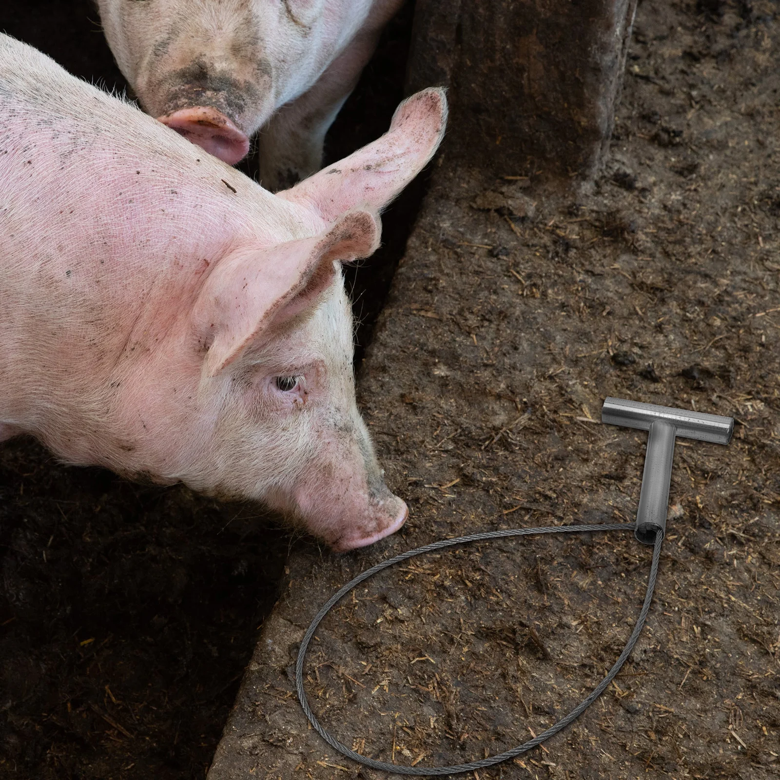 2Pcs Steel Wire Stabilizer Pig Squeezer Strong Rope Catcher for Sampling Swine Management Pig Farm Equipment Farm Accessories