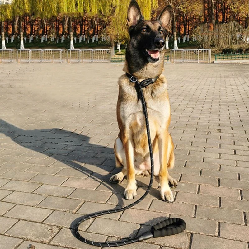 Reflective Pad Big Dog Leash for Training Walking Pet P Chain for Medium Large Dogs Malinois Collie Leashes mascotas Accessories