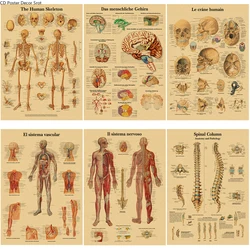 English German French Spanish Italian Version The Body Structure Retro Poster Anatomy Kraft Paper Medical Room Art Wall Decor