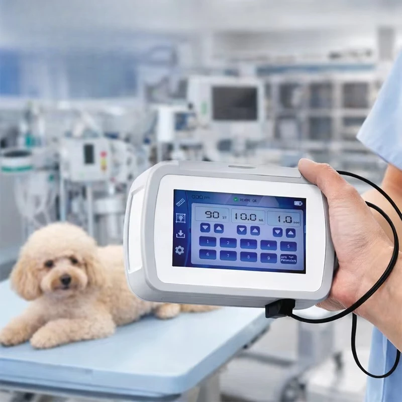 Digital X-Ray Portable Device, Affordable, Mobile X-Ray Device, Mini Portable X-Ray Machine, Optional Flat Panel Detector