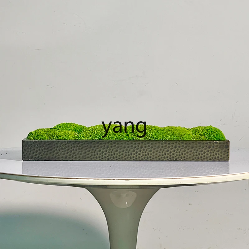 ZL entrance living room coffee table creative immortal plant moss potted plant tabletop ornament
