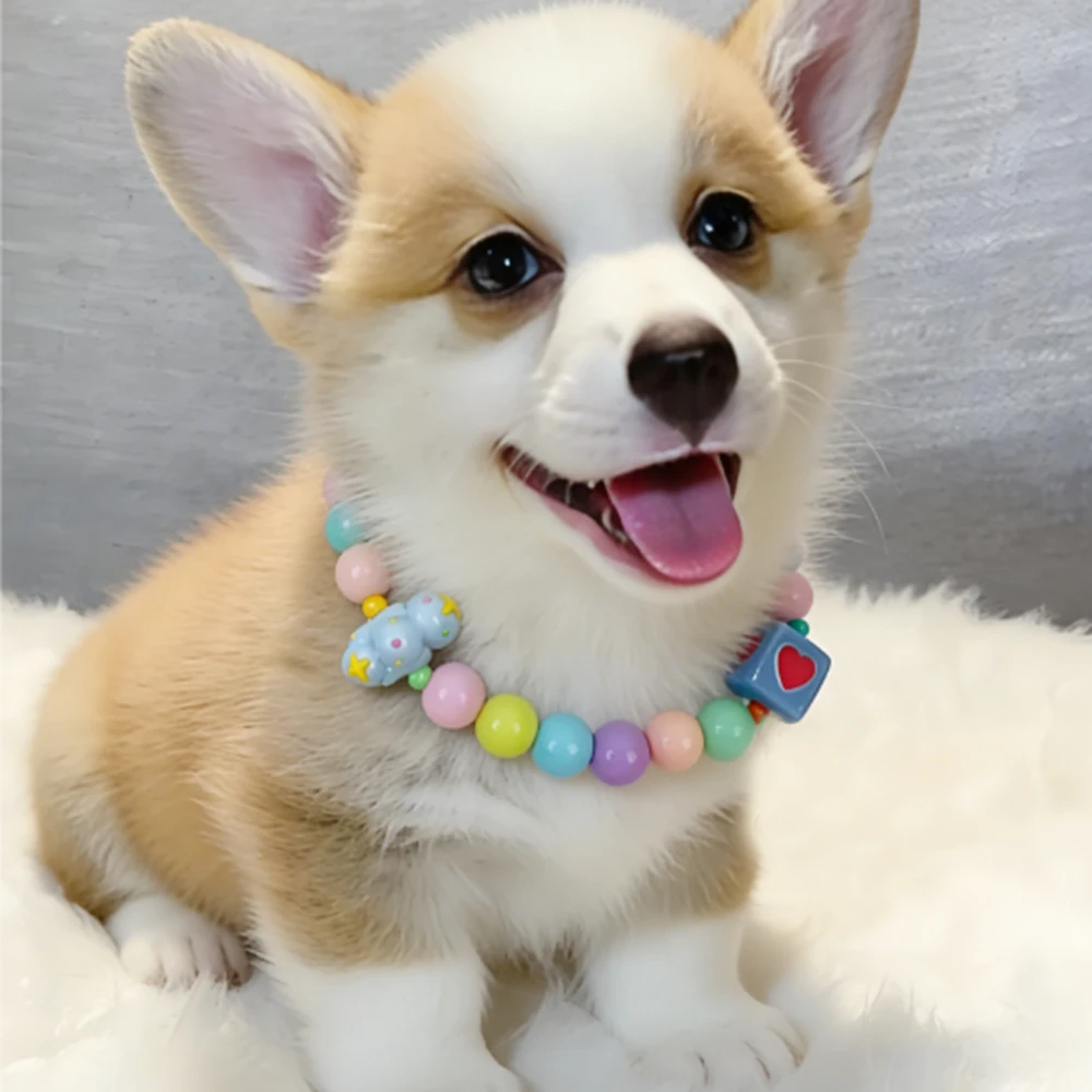 

New Dog Collar Decoration Pet Cute Exquisite Neck Kitten Adjustable Puppy Necklace Beautiful Colorful Beads Chain Pet Supplies