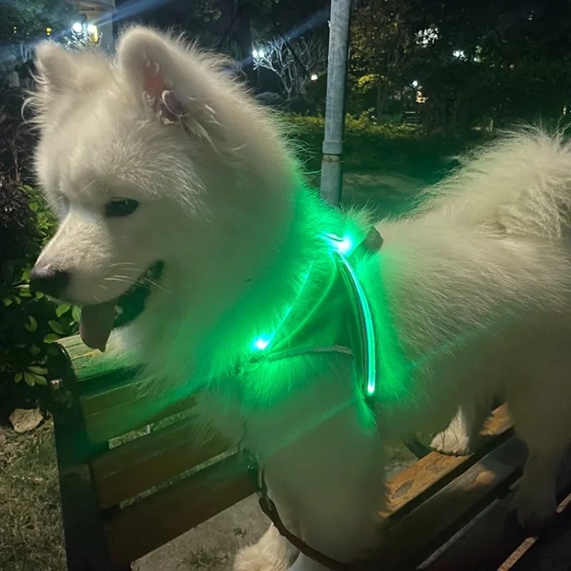 

Pet luminous chest strap removable and washable dog anti-break free cat chest back USB charging model