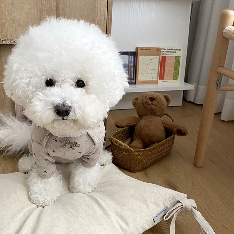 

Teddy Four-legged Suit Bichon Frise Small Dog Summer Clothes Pomeranian Yorkshire One-piece Suit Maltese Housecoat