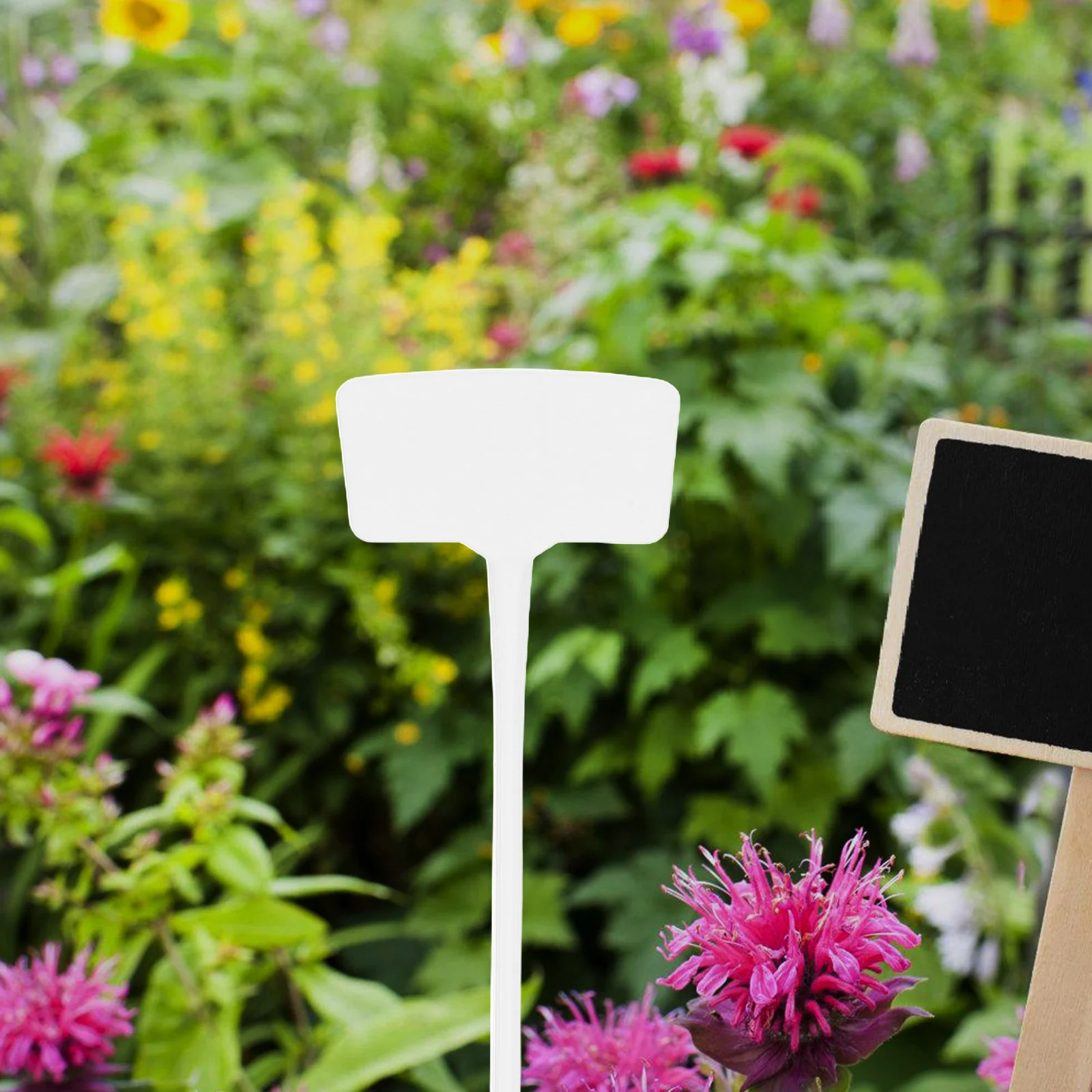 10 قطع من أوتاد ملصقات الحديقة المقاومة للماء من البلاستيك، تصميم محمول خفيف الوزن على شكل فيونكة للزهور والأعشاب والخضروات