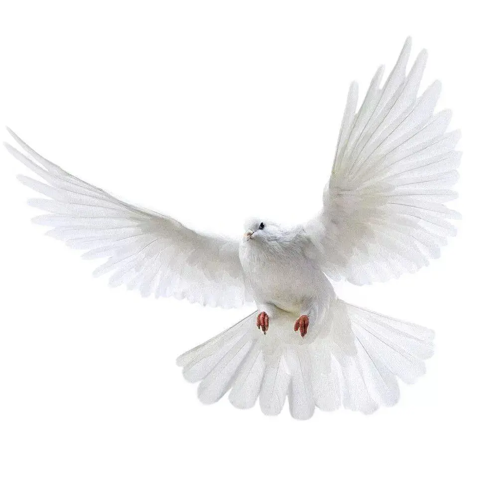 Peace Dove Wall Stickers for Living Room Bedroom Bathroom Vinyl Decals Scratch-Proof Home Decoration Animal Wall Accessories view 3