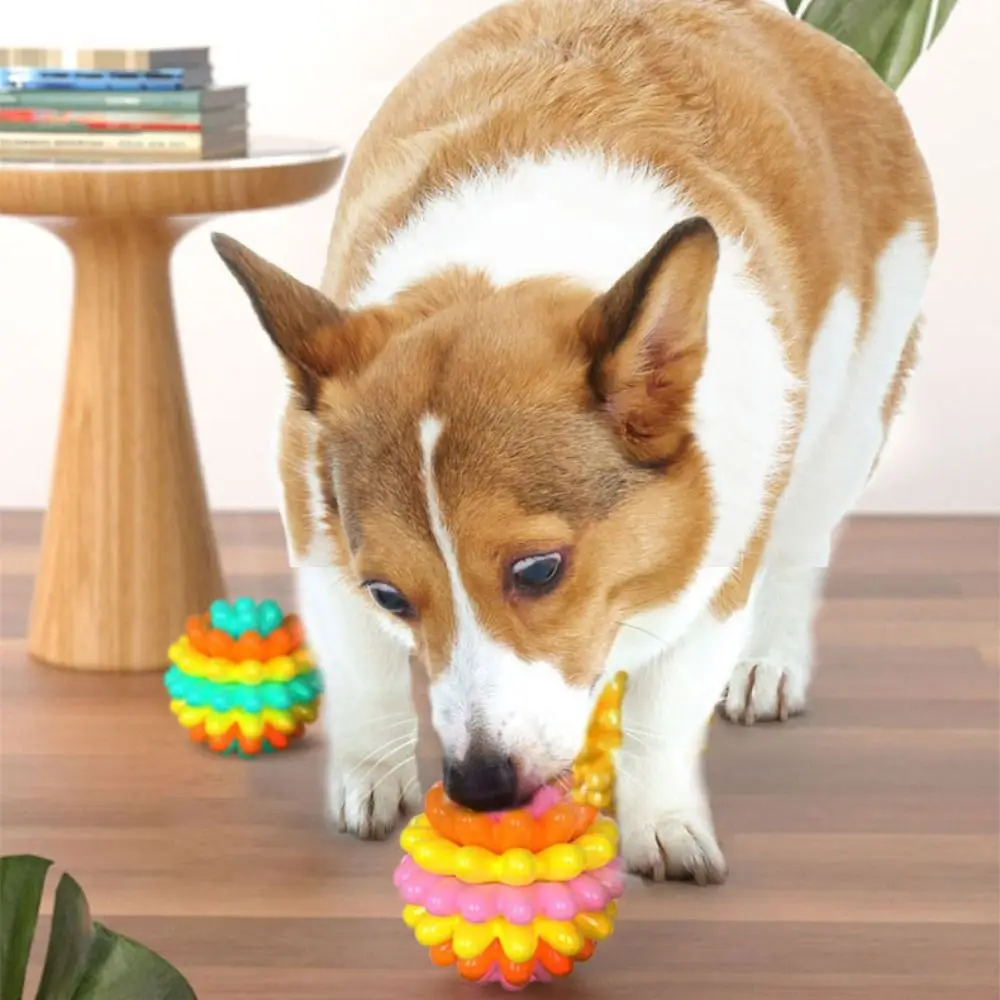 Multifunctional Bite Resistant Dog Elastic Ball Colorful High Elastic Pet Chewing TPR Dog Tooth Cleaning Relieve Boredom