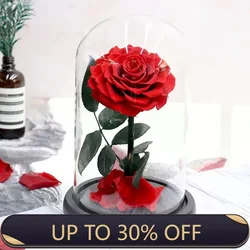 Real Rose Glass Cover for Valentine's Day, Eternal Flower,Orignal Little Prince, Valentine's Day, Christmas Gift Box，Present