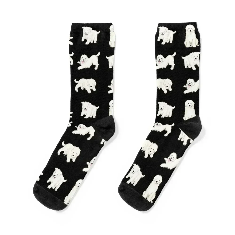 

Cute Maremma Puppies - Black Socks Stockings compression luxury with print Men Socks Women's