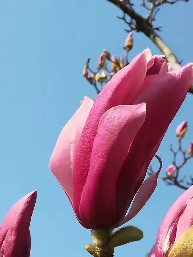 

Корпус коробки передач для FMS FCX24M, Camel Cup, D90, D110, Land Rover Defender, Range Rover первого поколения, Discovery — запчасти для тюнинга радиоуправляемых моделей