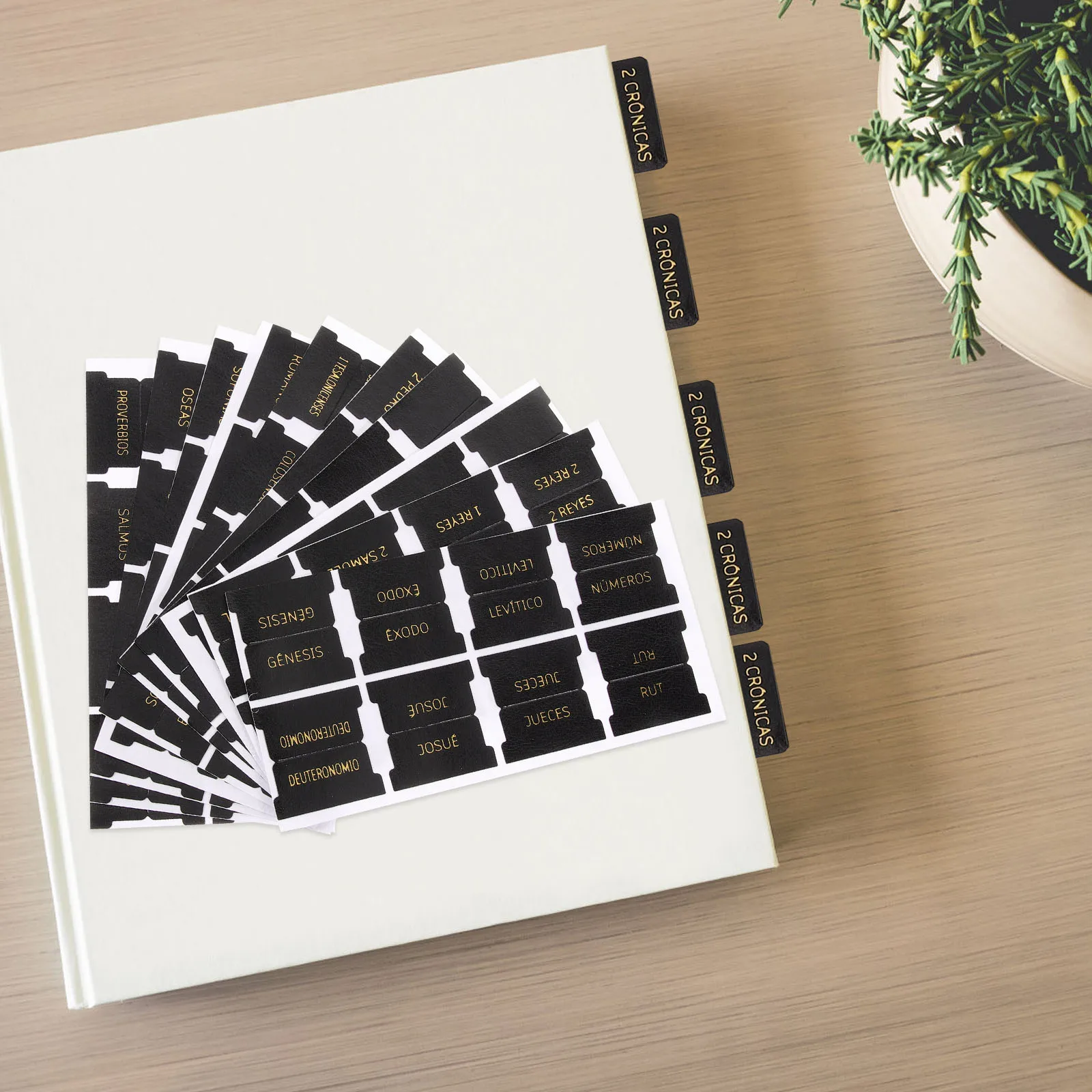 

blank bible study tabs blank bible tabs bible tabs for women bible tabs for men bible tabs for study bib